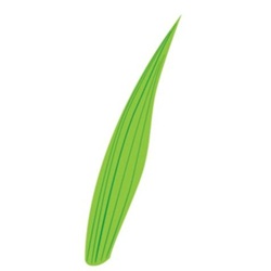 葉